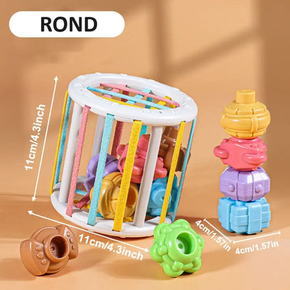 Jeu de Tri de Blocs en Formes Colorées pour Bébé Petite Cuillère
